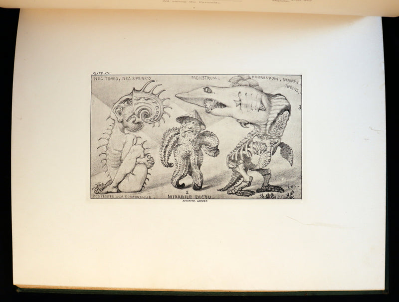 1872 Scarce First Edition - GROTESQUE ANIMALS Invented, Drawn and Described by E.W. Cooke.
