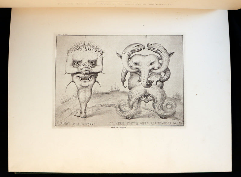 1872 Scarce First Edition - GROTESQUE ANIMALS Invented, Drawn and Described by E.W. Cooke.