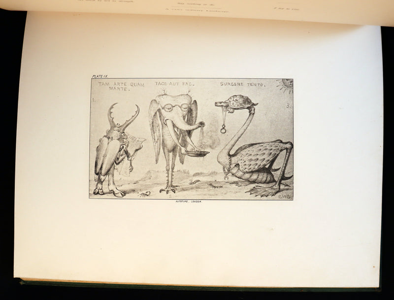 1872 Scarce First Edition - GROTESQUE ANIMALS Invented, Drawn and Described by E.W. Cooke.