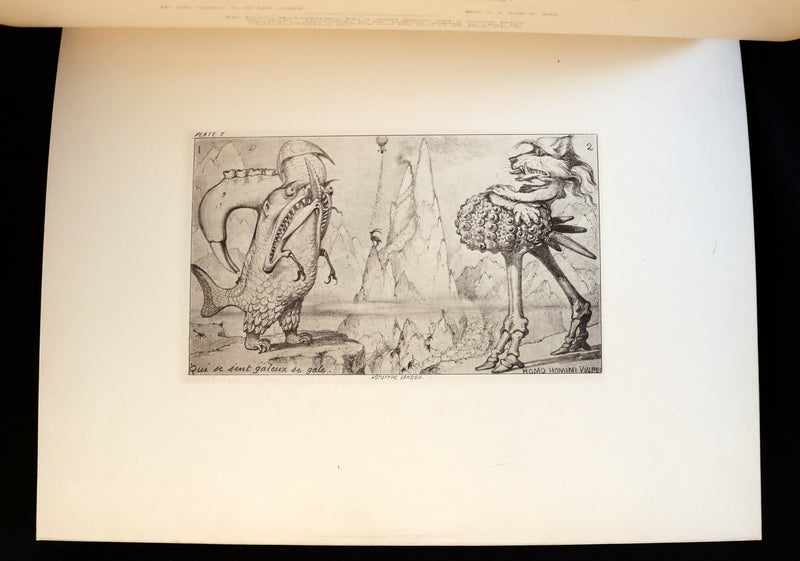 1872 Scarce First Edition - GROTESQUE ANIMALS Invented, Drawn and Described by E.W. Cooke.