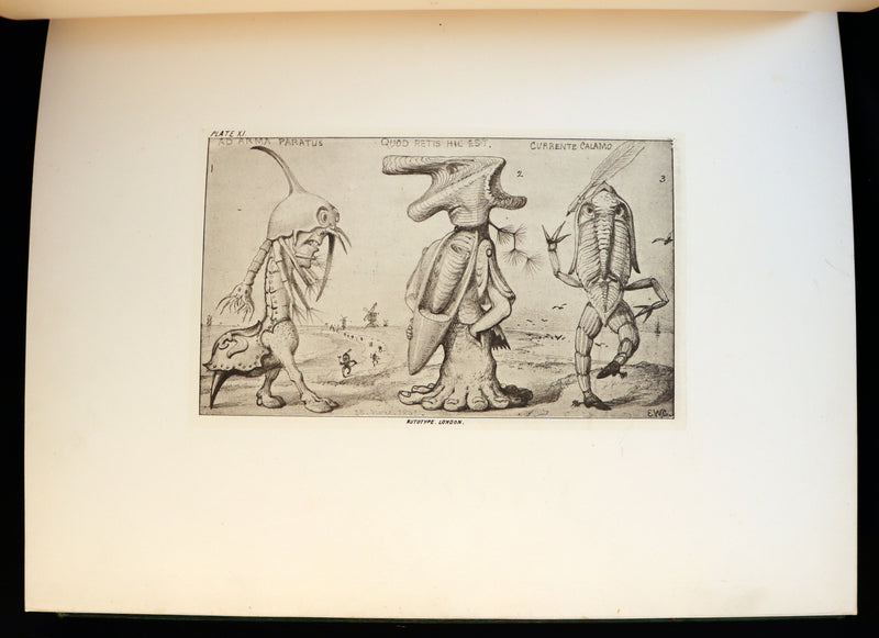 1872 Scarce First Edition - GROTESQUE ANIMALS Invented, Drawn and Described by E.W. Cooke.