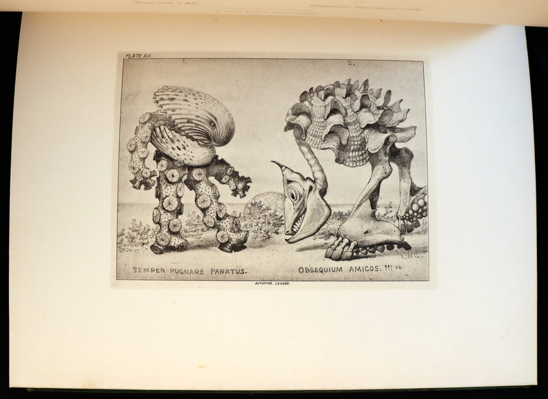 1872 Scarce First Edition - GROTESQUE ANIMALS Invented, Drawn and Described by E.W. Cooke.