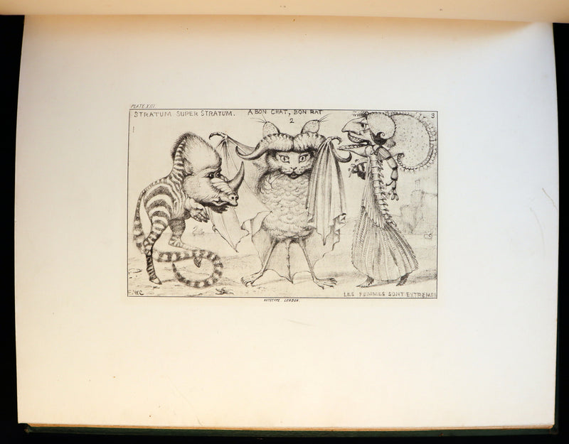 1872 Scarce First Edition - GROTESQUE ANIMALS Invented, Drawn and Described by E.W. Cooke.