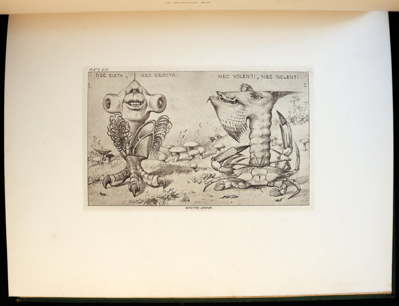 1872 Scarce First Edition - GROTESQUE ANIMALS Invented, Drawn and Described by E.W. Cooke.