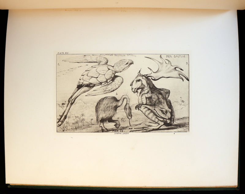 1872 Scarce First Edition - GROTESQUE ANIMALS Invented, Drawn and Described by E.W. Cooke.