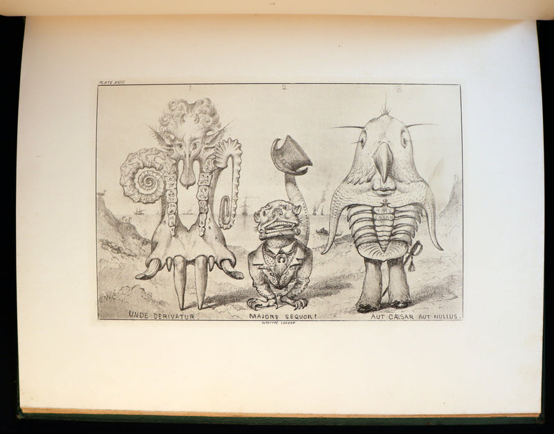 1872 Scarce First Edition - GROTESQUE ANIMALS Invented, Drawn and Described by E.W. Cooke.