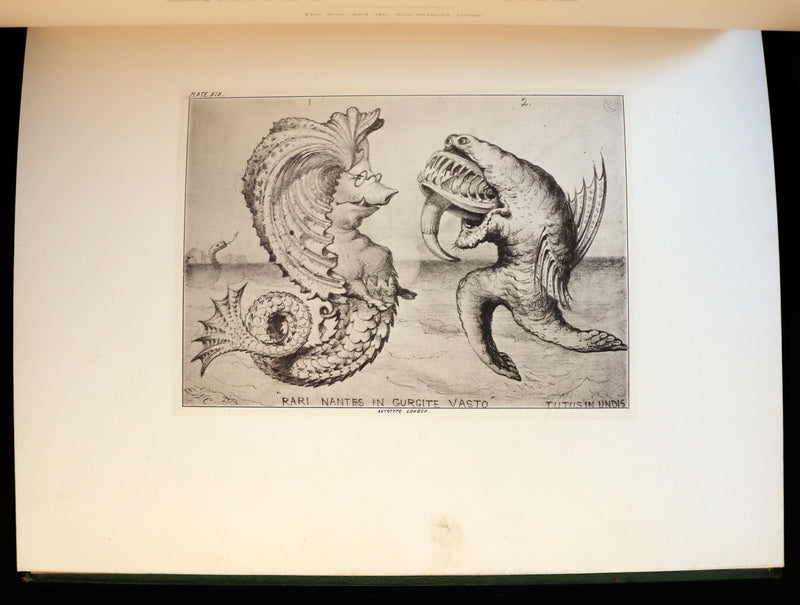 1872 Scarce First Edition - GROTESQUE ANIMALS Invented, Drawn and Described by E.W. Cooke.