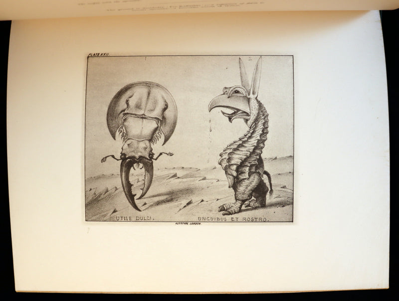 1872 Scarce First Edition - GROTESQUE ANIMALS Invented, Drawn and Described by E.W. Cooke.