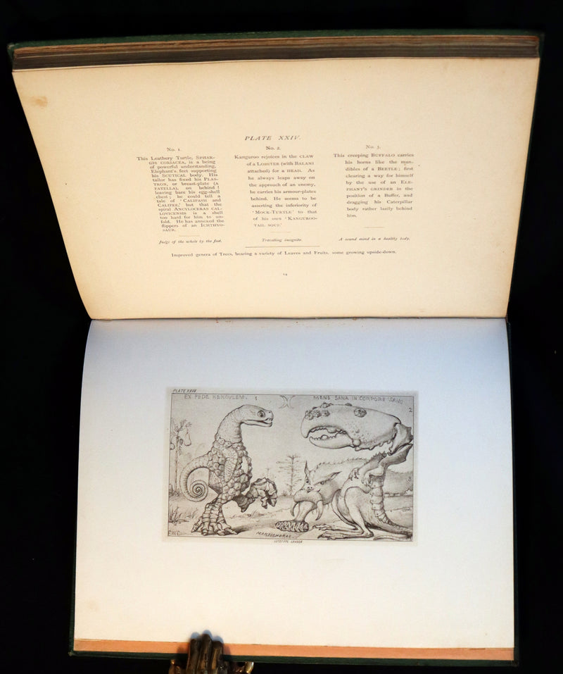 1872 Scarce First Edition - GROTESQUE ANIMALS Invented, Drawn and Described by E.W. Cooke.