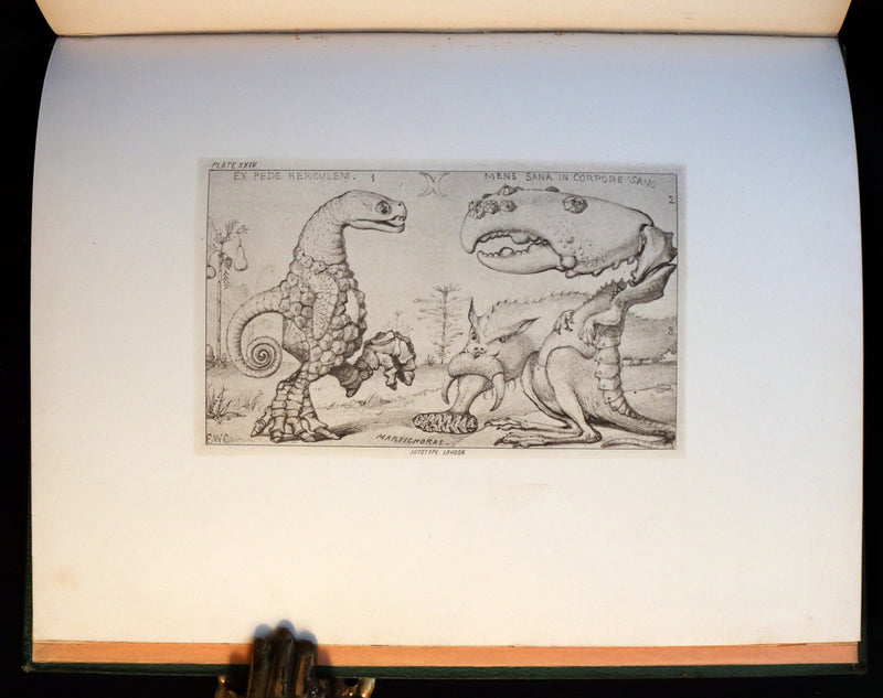 1872 Scarce First Edition - GROTESQUE ANIMALS Invented, Drawn and Described by E.W. Cooke.
