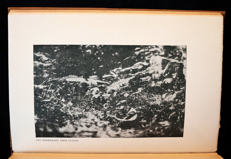 1922 Scarce First Edition on Cottingley FAIRIES - Arthur Conan DOYLE - The Coming of the Fairies.