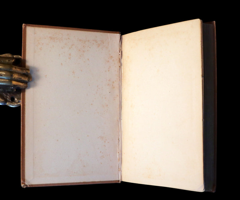 1882 Rare Book - Poems by Edgar Allan POE with Memoir (The Raven, Lenore, Ulalume, ...).