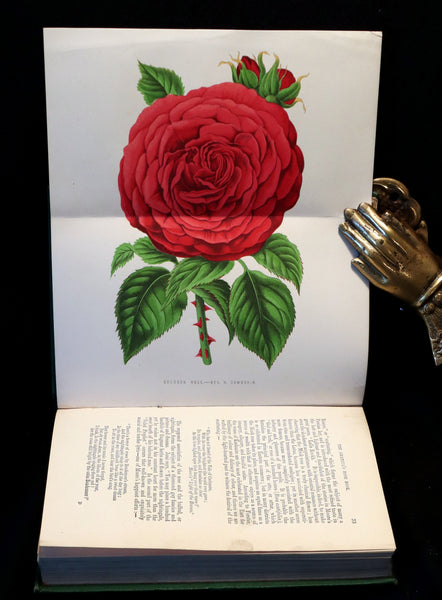 1874 Rare Victorian Gardening Book - The Amateur's Rose Book by the famous botanist James Shirley Hibberd.