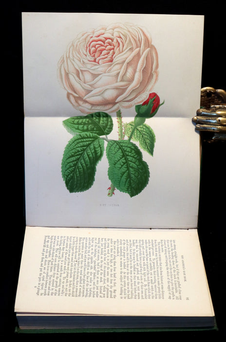 1874 Rare Victorian Gardening Book - The Amateur's Rose Book by the famous botanist James Shirley Hibberd.