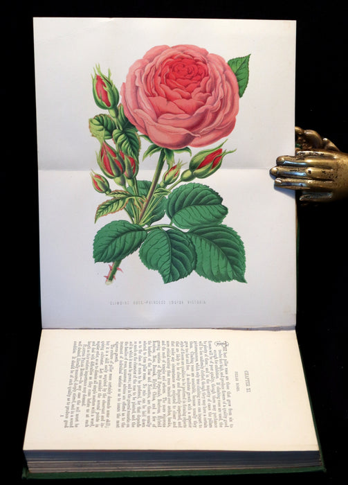 1874 Rare Victorian Gardening Book - The Amateur's Rose Book by the famous botanist James Shirley Hibberd.