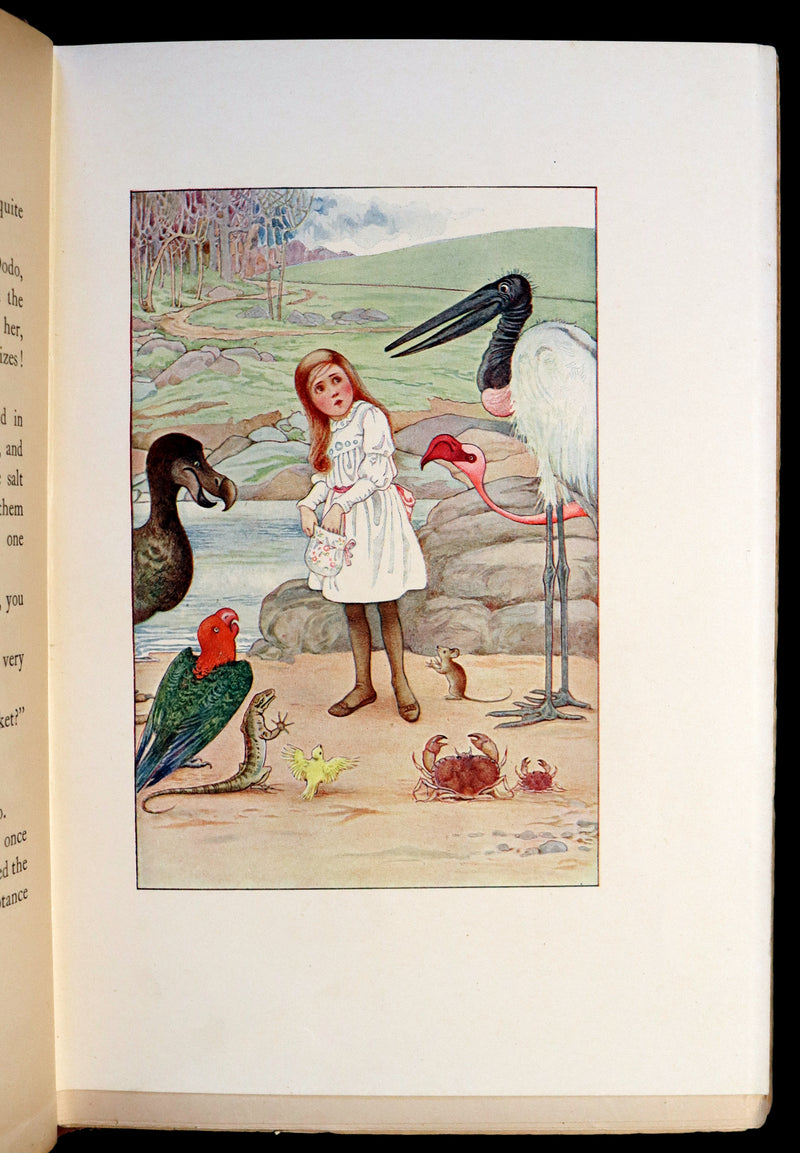 1908 Scarce Book - Alice's Adventures in Wonderland beautifully Illustrated by Amy Millicent Sowerby. 1st US Edition.
