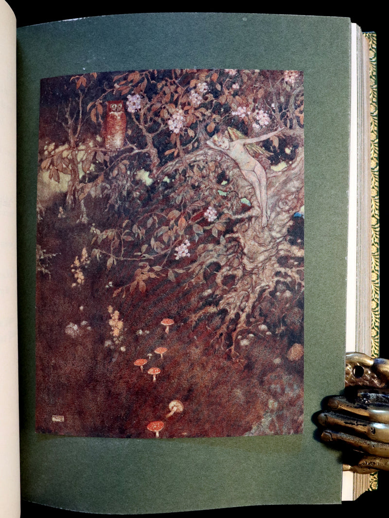 1908 Rare Book bound by Bayntun - THE TEMPEST by Shakespeare illustrated by Edmund DULAC. 1stED.