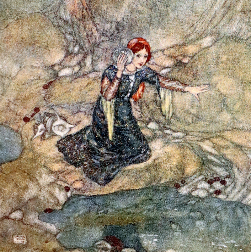 1908 Rare Book bound by Bayntun - THE TEMPEST by Shakespeare illustrated by Edmund DULAC. 1stED.