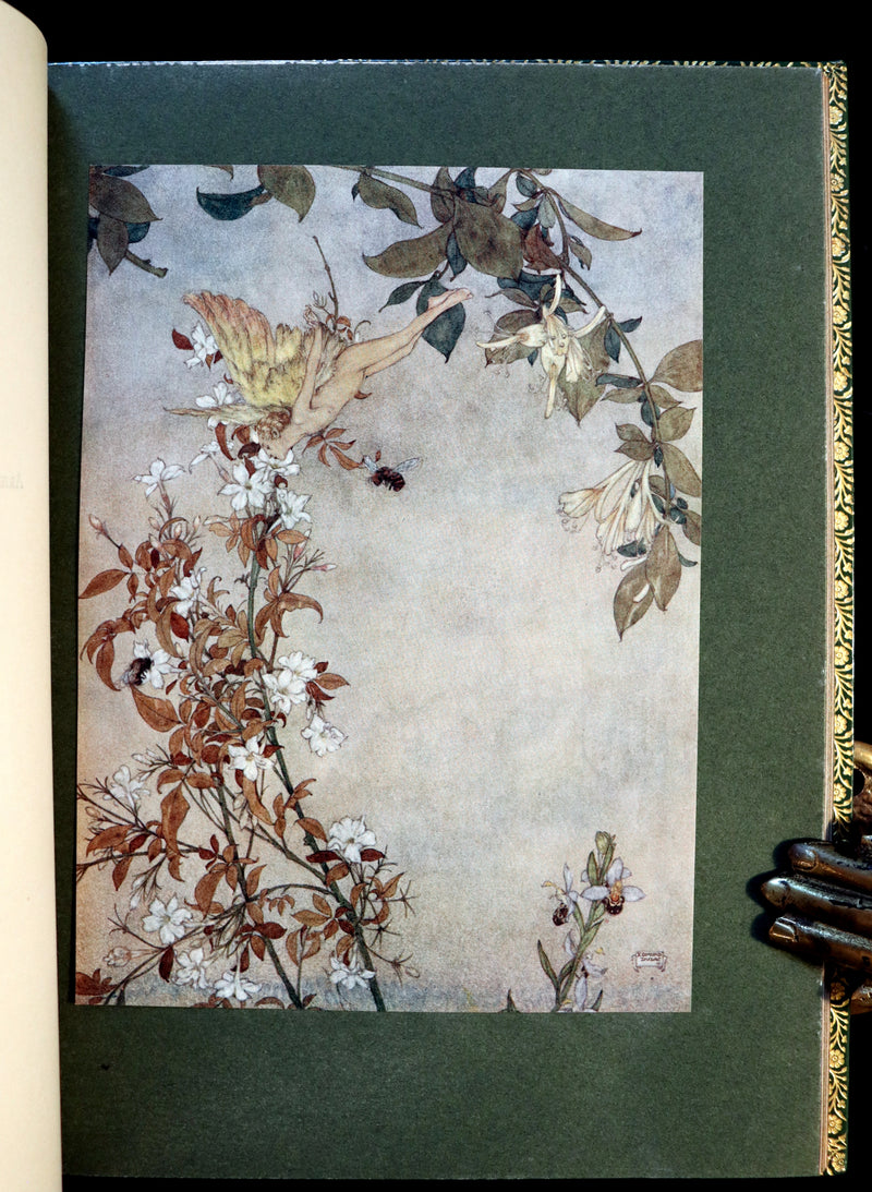 1908 Rare Book bound by Bayntun - THE TEMPEST by Shakespeare illustrated by Edmund DULAC. 1stED.