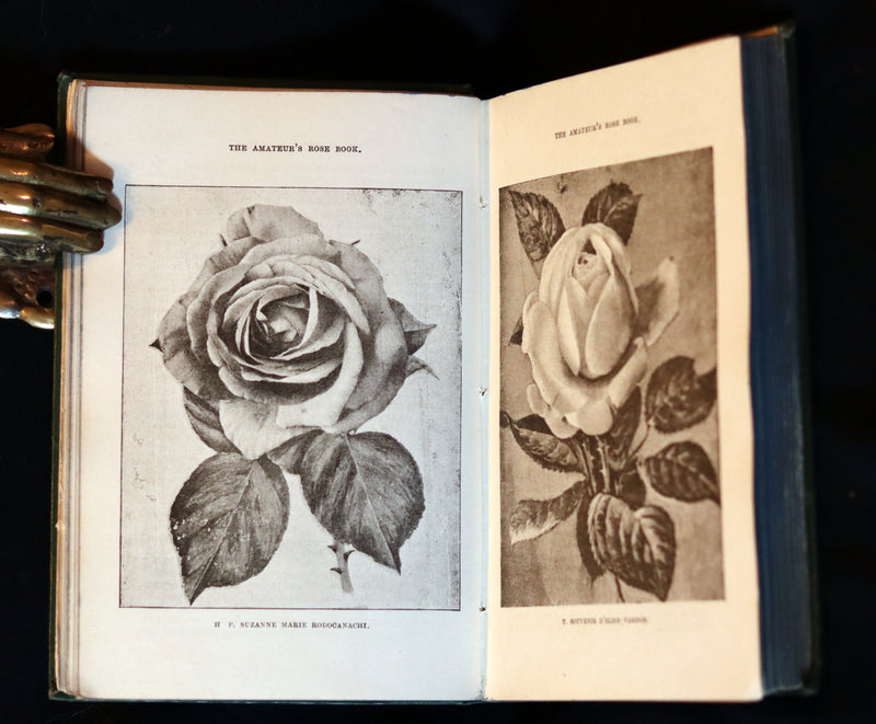 1894 Rare Victorian Gardening Book - The Amateur's Rose Book by the famous botanist James Shirley Hibberd.