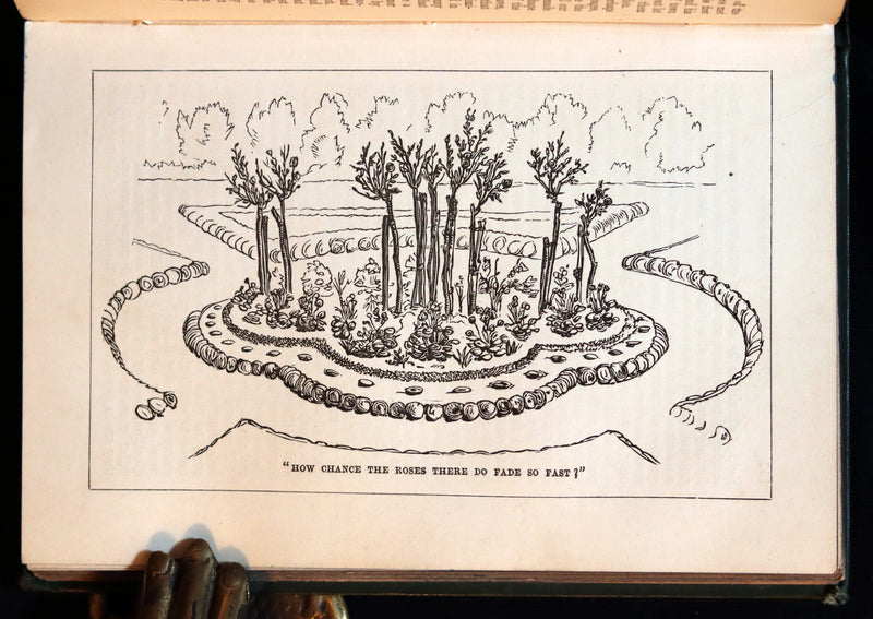 1894 Rare Victorian Gardening Book - The Amateur's Rose Book by the famous botanist James Shirley Hibberd.