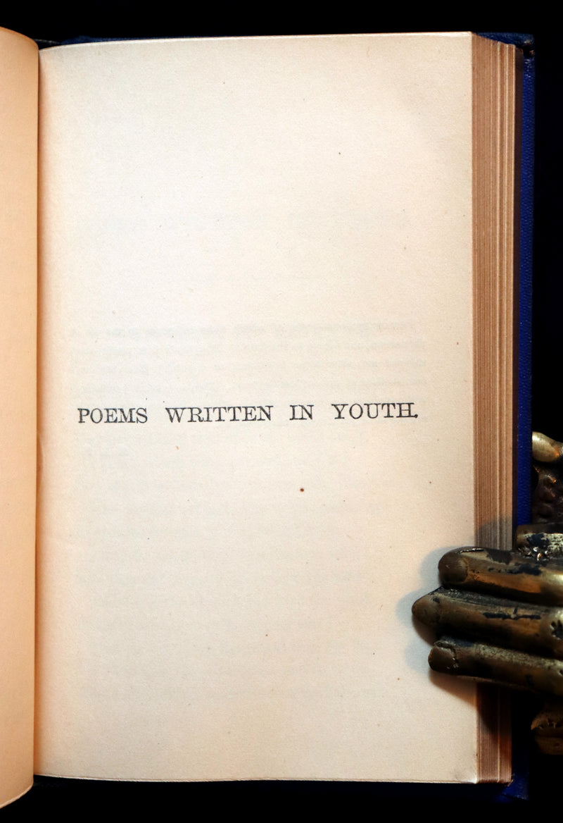 1876 Rare Victorian Book - Poems by Edgar Allan POE (The Raven, Lenore, Ulalume, ...)