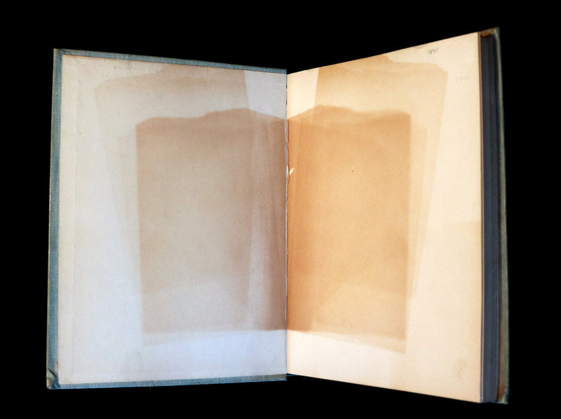 1895 Scarce Victorian Book - THE FAIRIES' FESTIVAL by John Witt Randall illustrated by Francis Gilbert Attwood.