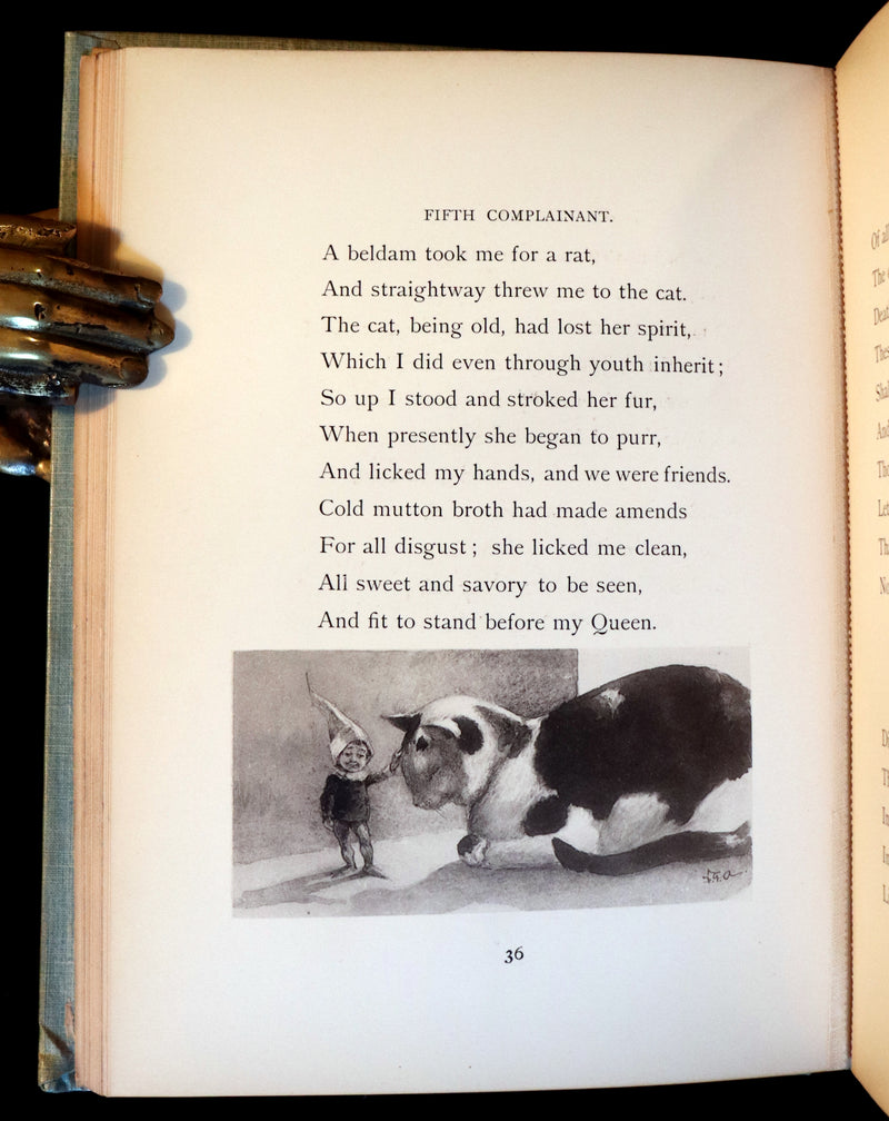 1895 Scarce Victorian Book - THE FAIRIES' FESTIVAL by John Witt Randall illustrated by Francis Gilbert Attwood.