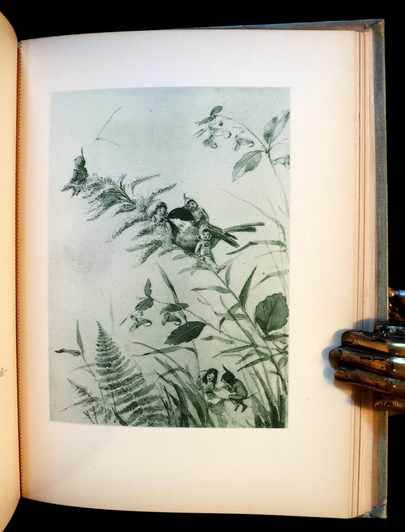1895 Scarce Victorian Book - THE FAIRIES' FESTIVAL by John Witt Randall illustrated by Francis Gilbert Attwood.