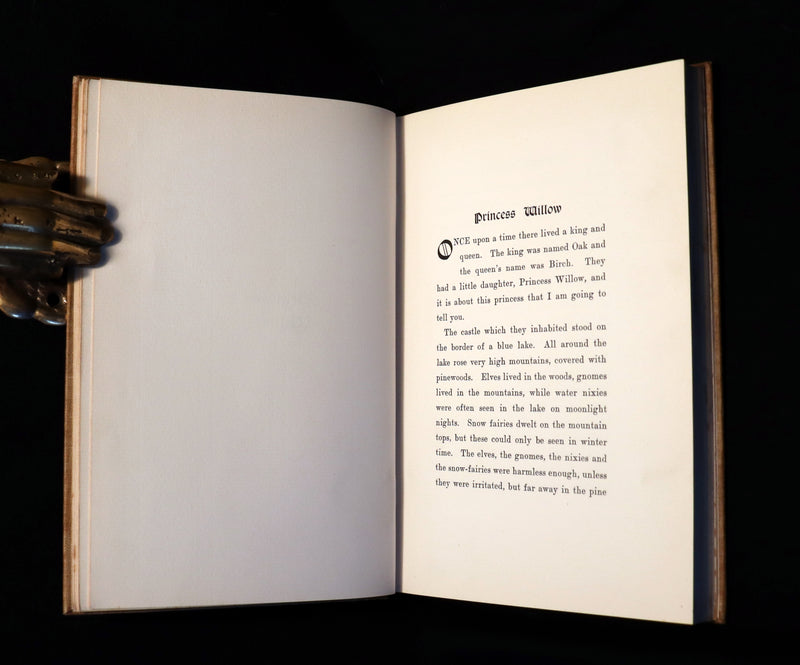 1905 Scarce Book - FAIRY TALES Written and illustrated by "Delta."
