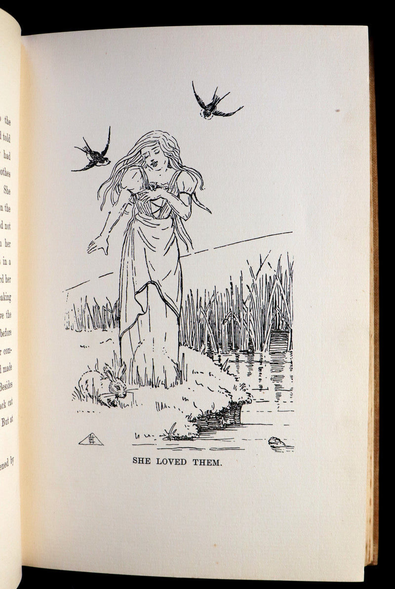 1905 Scarce Book - FAIRY TALES Written and illustrated by "Delta."