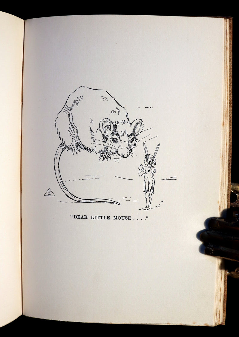 1905 Scarce Book - FAIRY TALES Written and illustrated by "Delta."