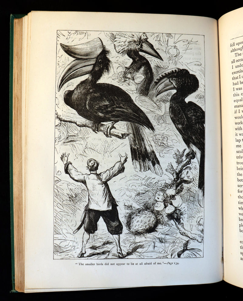 1884 Rare Victorian Book - GULLIVER's Travels Into Several Remote Nations of the World illustrated by Thomas Morten.