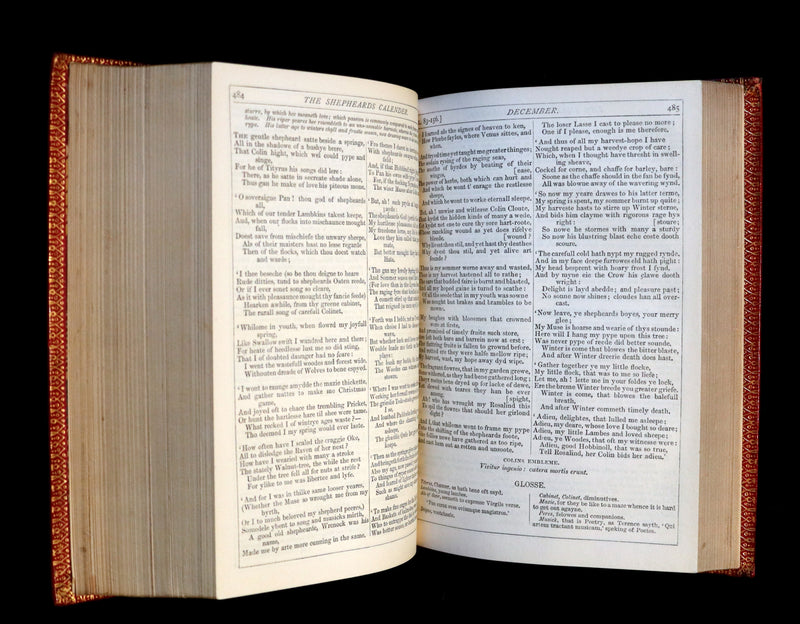 1869 Rare Book in a beautiful BINDING ~ The FAERIE QUEENE & The Complete Works of Edmund SPENSER.