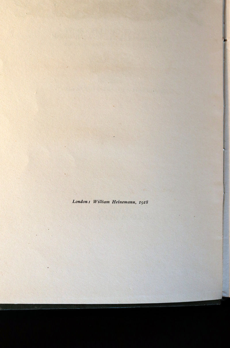 1918 Rare First Edition - The Springtide of Life by Swinburne illustrated by Arthur Rackham.