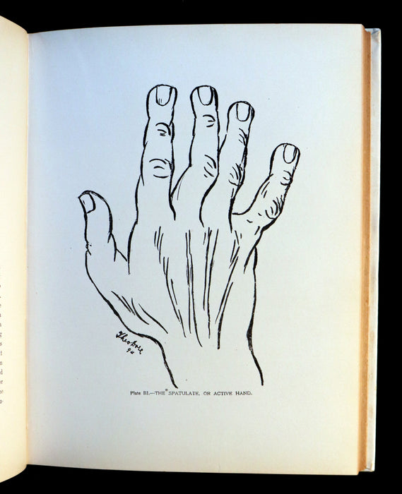 1900 Rare PALMISTRY Book - CHEIRO'S LANGUAGE OF THE HAND with reproductions of Famous Hands.