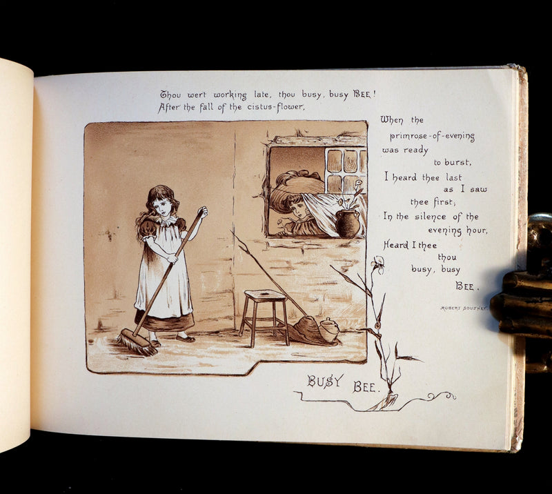 1883 Scarce Victorian Book -  Pictures from the Poets illustrated by T. Pym (Clara Creed). First Edition.