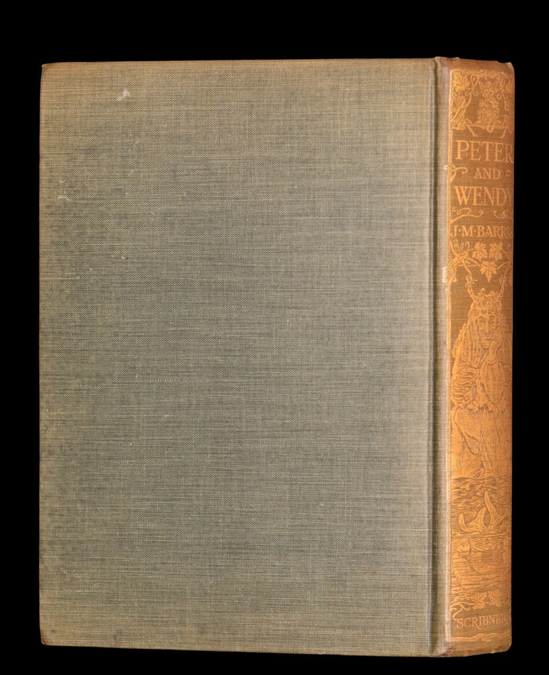 1911 Rare PETER PAN First Edition - PETER and WENDY by James Matthew Barrie illustrated by F.D. Bedford.