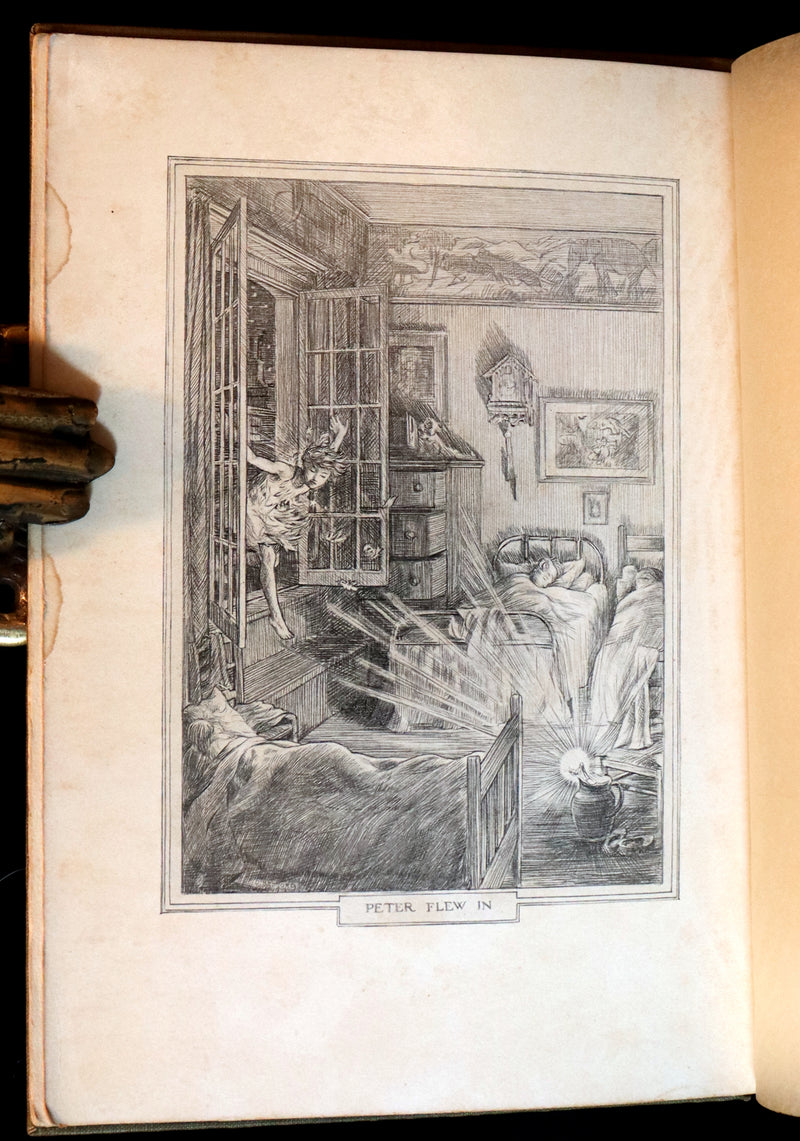 1911 Rare PETER PAN First Edition - PETER and WENDY by James Matthew Barrie illustrated by F.D. Bedford.