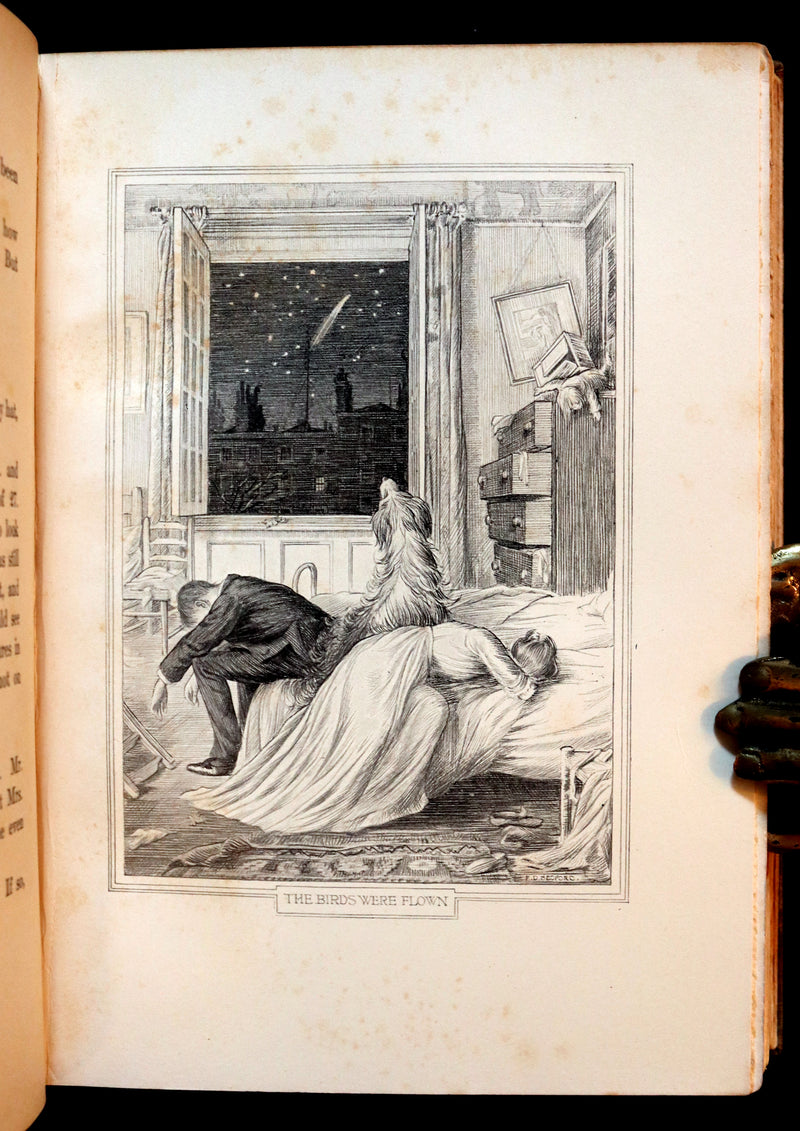 1911 Rare PETER PAN First Edition - PETER and WENDY by James Matthew Barrie illustrated by F.D. Bedford.