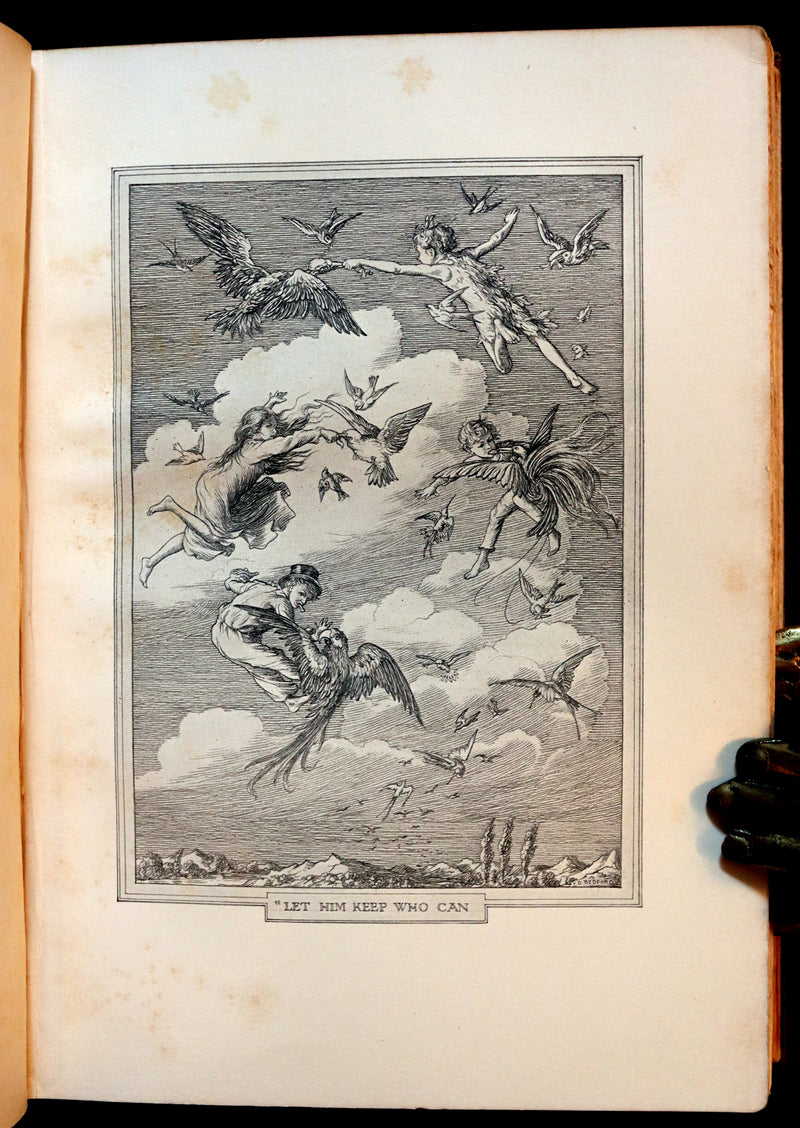 1911 Rare PETER PAN First Edition - PETER and WENDY by James Matthew Barrie illustrated by F.D. Bedford.