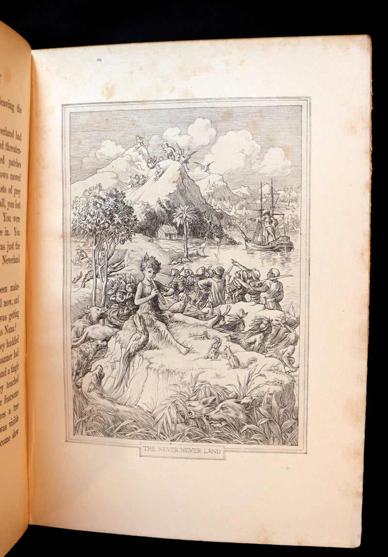 1911 Rare PETER PAN First Edition - PETER and WENDY by James Matthew Barrie illustrated by F.D. Bedford.