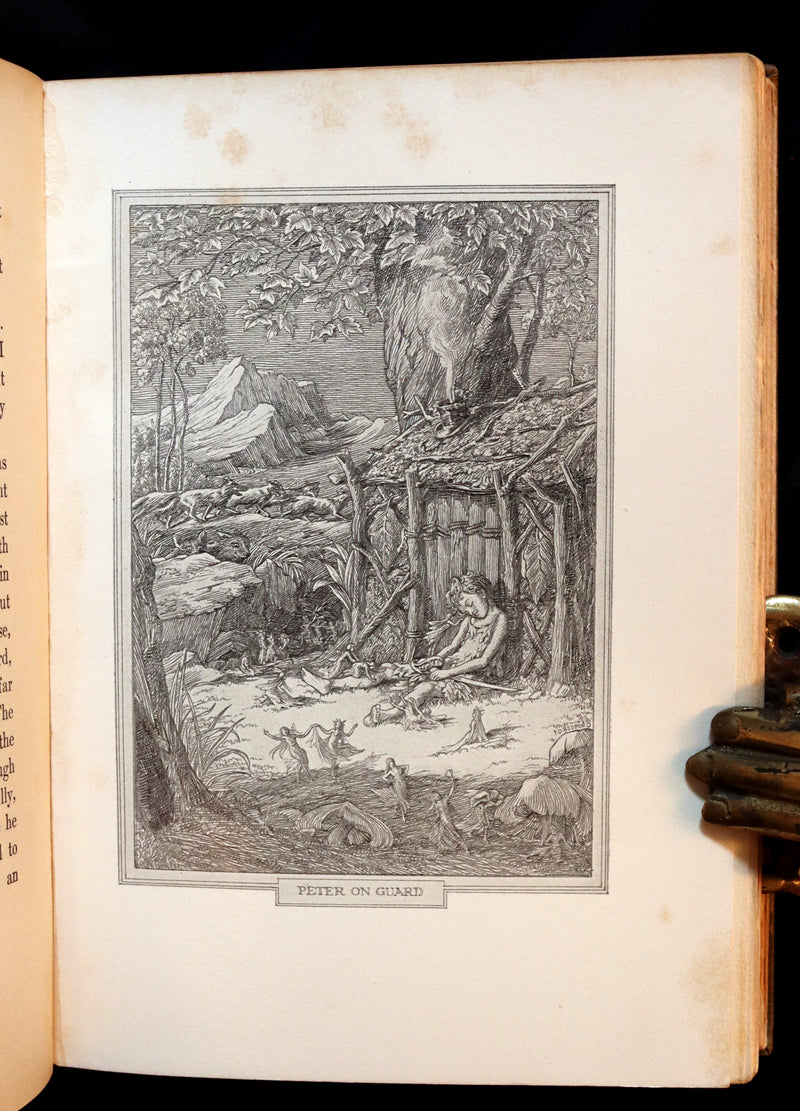 1911 Rare PETER PAN First Edition - PETER and WENDY by James Matthew Barrie illustrated by F.D. Bedford.