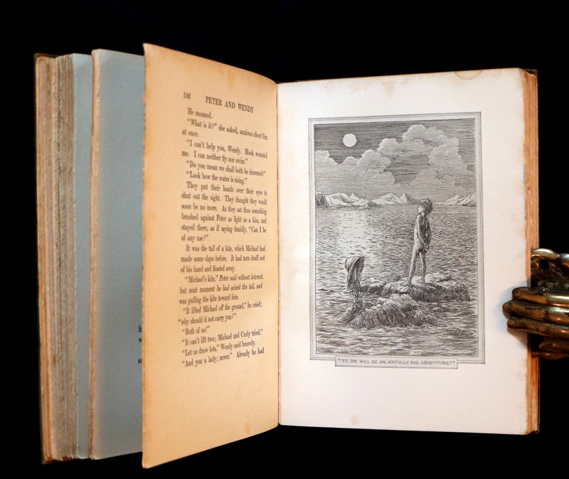 1911 Rare PETER PAN First Edition - PETER and WENDY by James Matthew Barrie illustrated by F.D. Bedford.