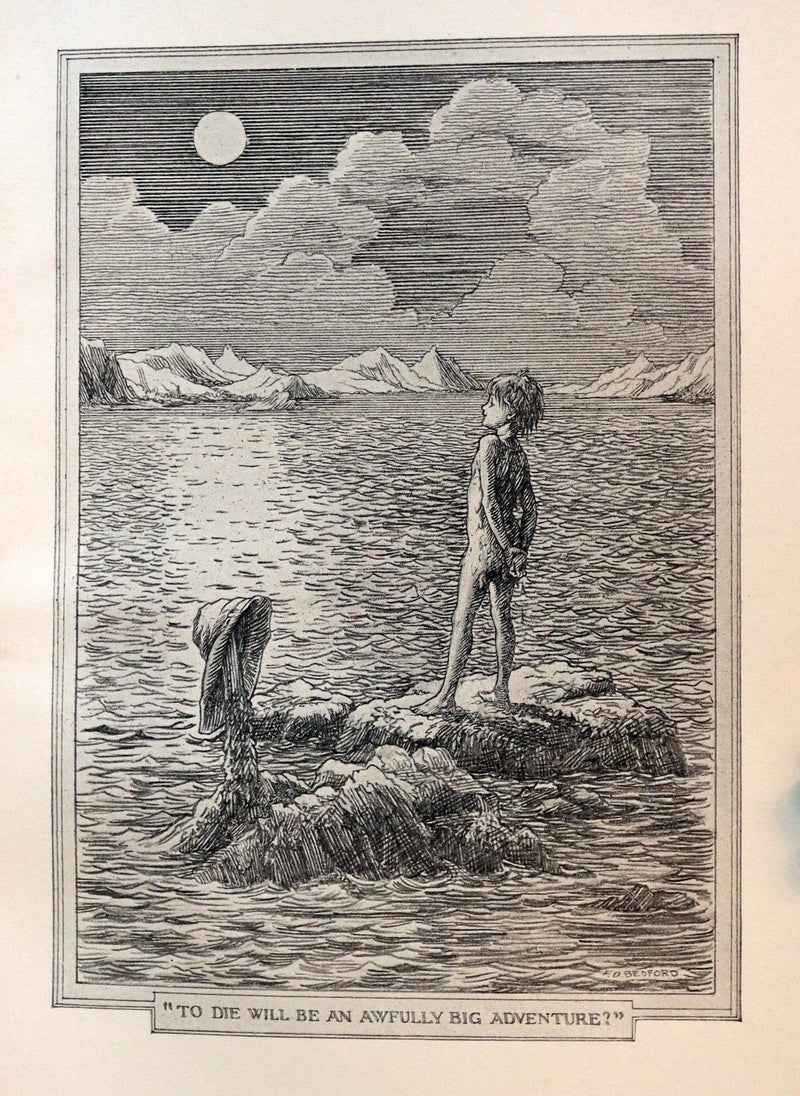 1911 Rare PETER PAN First Edition - PETER and WENDY by James Matthew Barrie illustrated by F.D. Bedford.