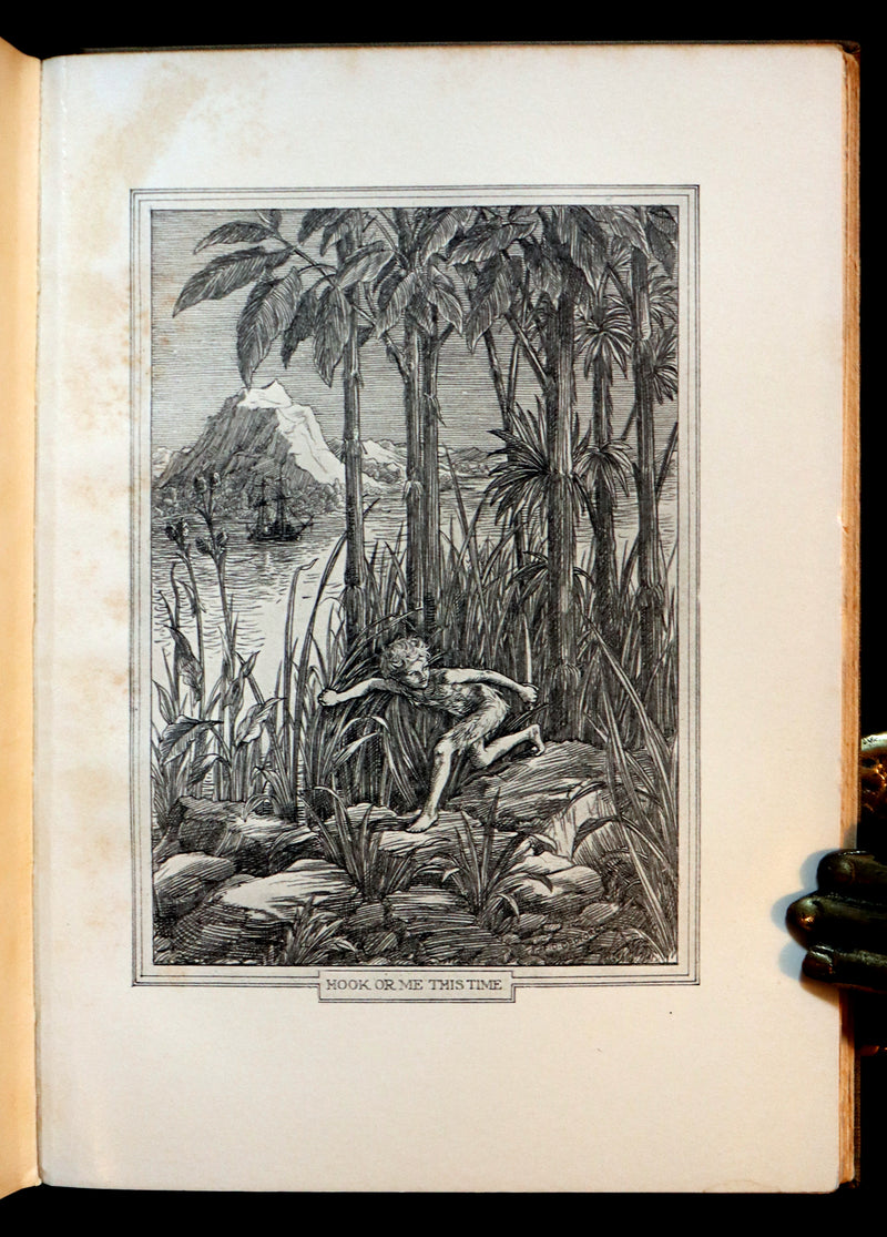 1911 Rare PETER PAN First Edition - PETER and WENDY by James Matthew Barrie illustrated by F.D. Bedford.