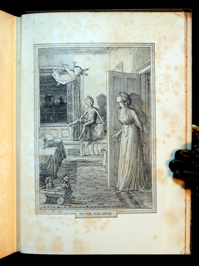1911 Rare PETER PAN First Edition - PETER and WENDY by James Matthew Barrie illustrated by F.D. Bedford.
