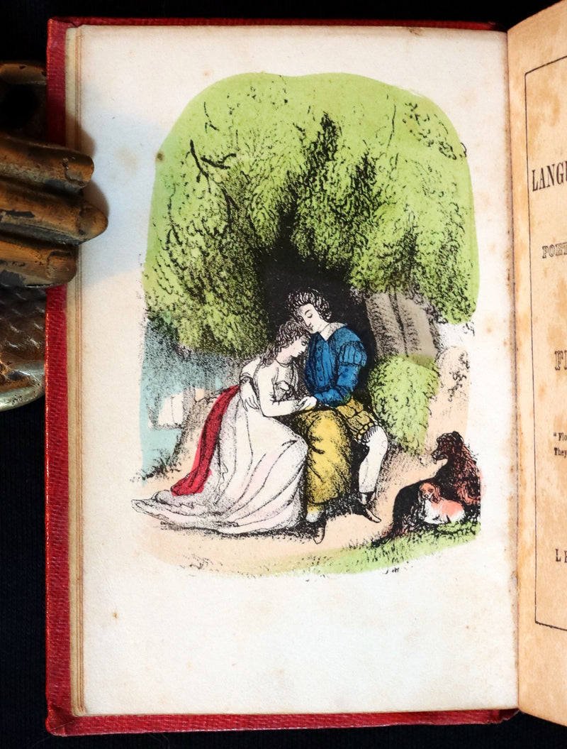 1847 Scarce Floriography Book ~ The Language Of Flowers, Complete Flora's Album with coloured plates.