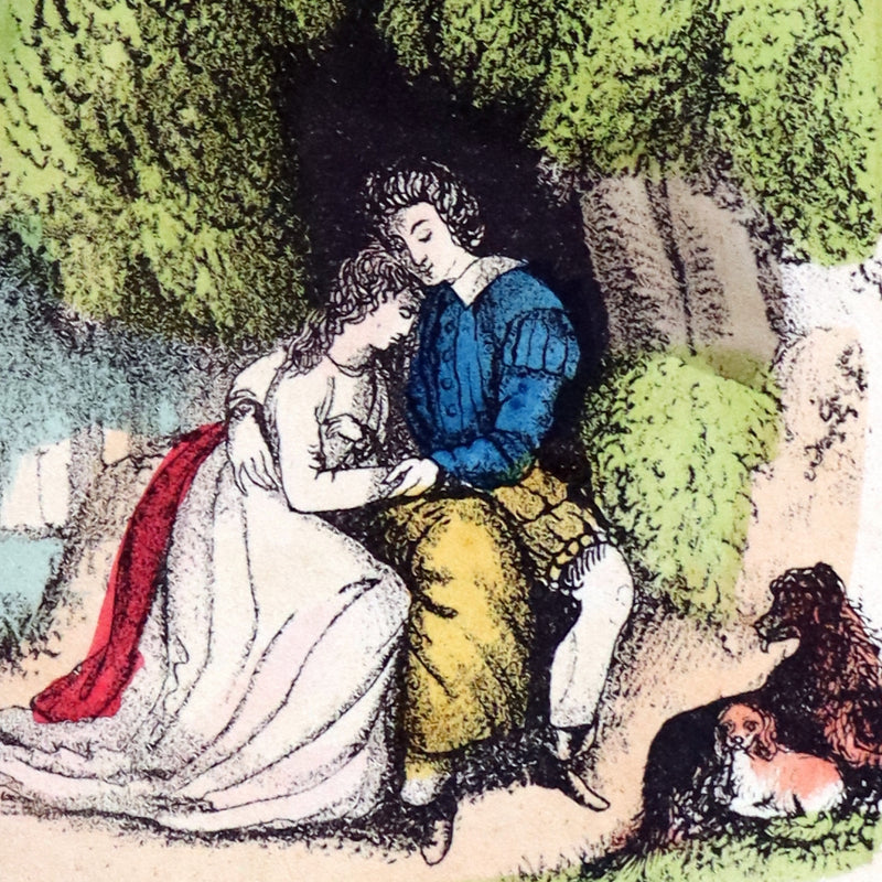 1847 Scarce Floriography Book ~ The Language Of Flowers, Complete Flora's Album with coloured plates.