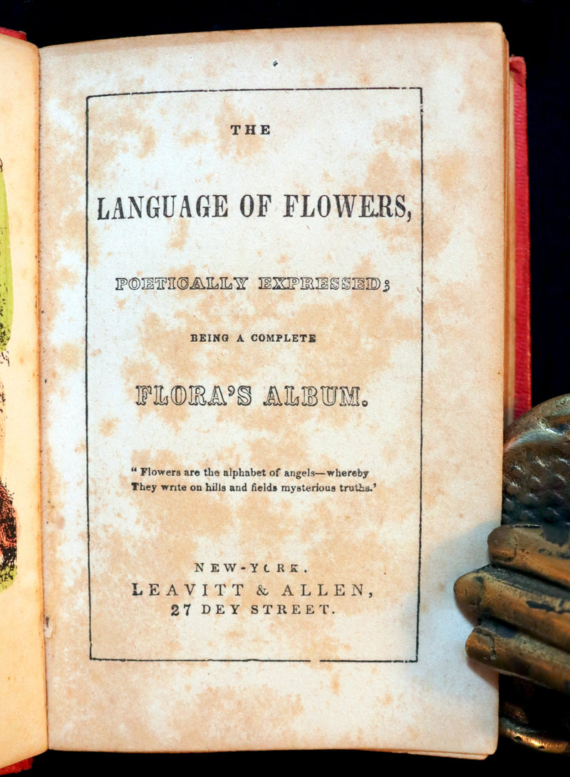 1847 Scarce Floriography Book ~ The Language Of Flowers, Complete Flora's Album with coloured plates.